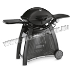   Weber Q 3200   