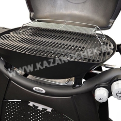   Weber Q 3200   